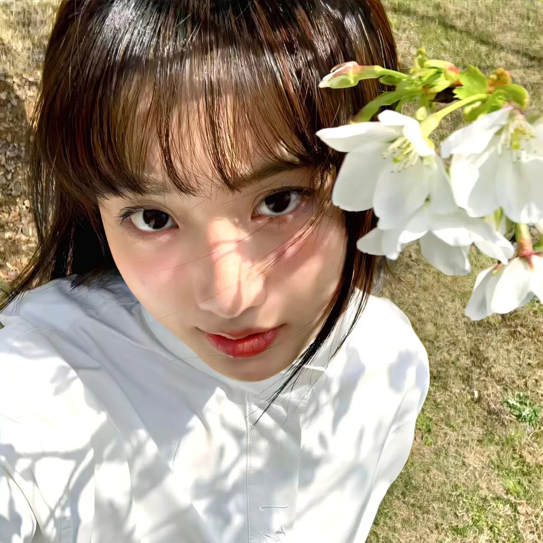 剧剧有回应春花焰