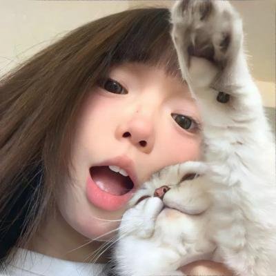 侦探罗曼史
